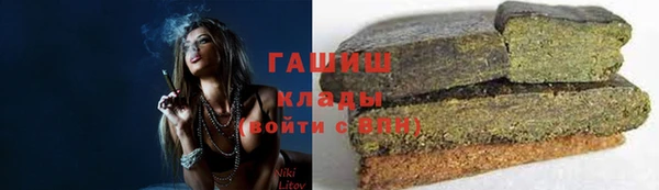 индика Бугульма