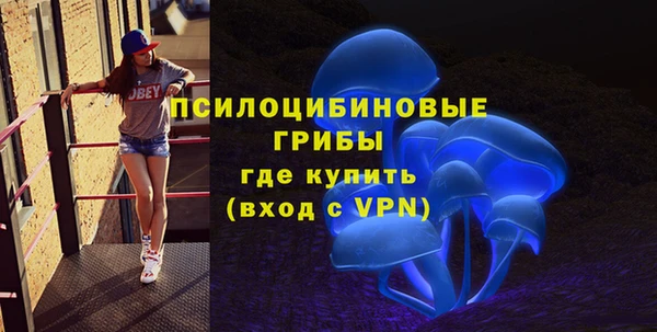 бутират Бородино