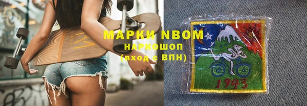 индика Бугульма