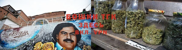 индика Бугульма