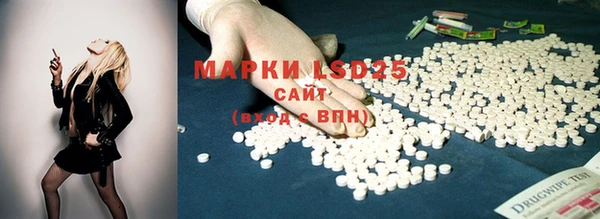 индика Бугульма
