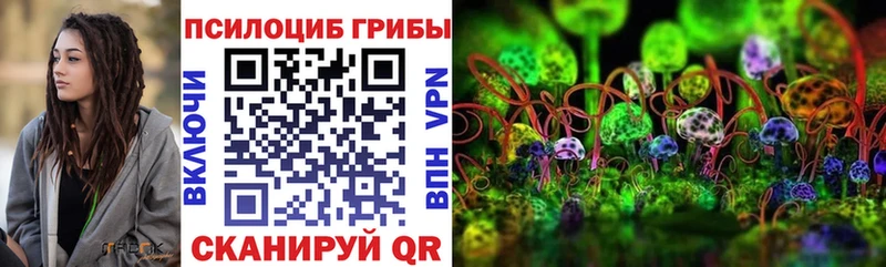 kraken как зайти Гай Галлюциногенные грибы Magic Shrooms