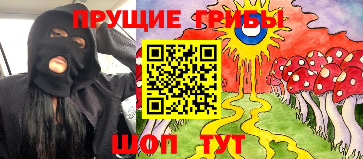 Гай  Галлюциногенные грибы Psilocybe  хочу   Вход с VPN 
